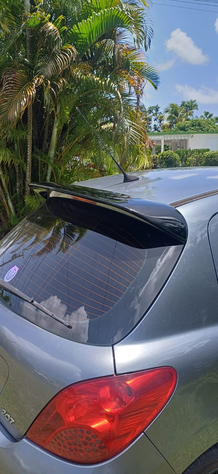 Becquet Peugeot 207